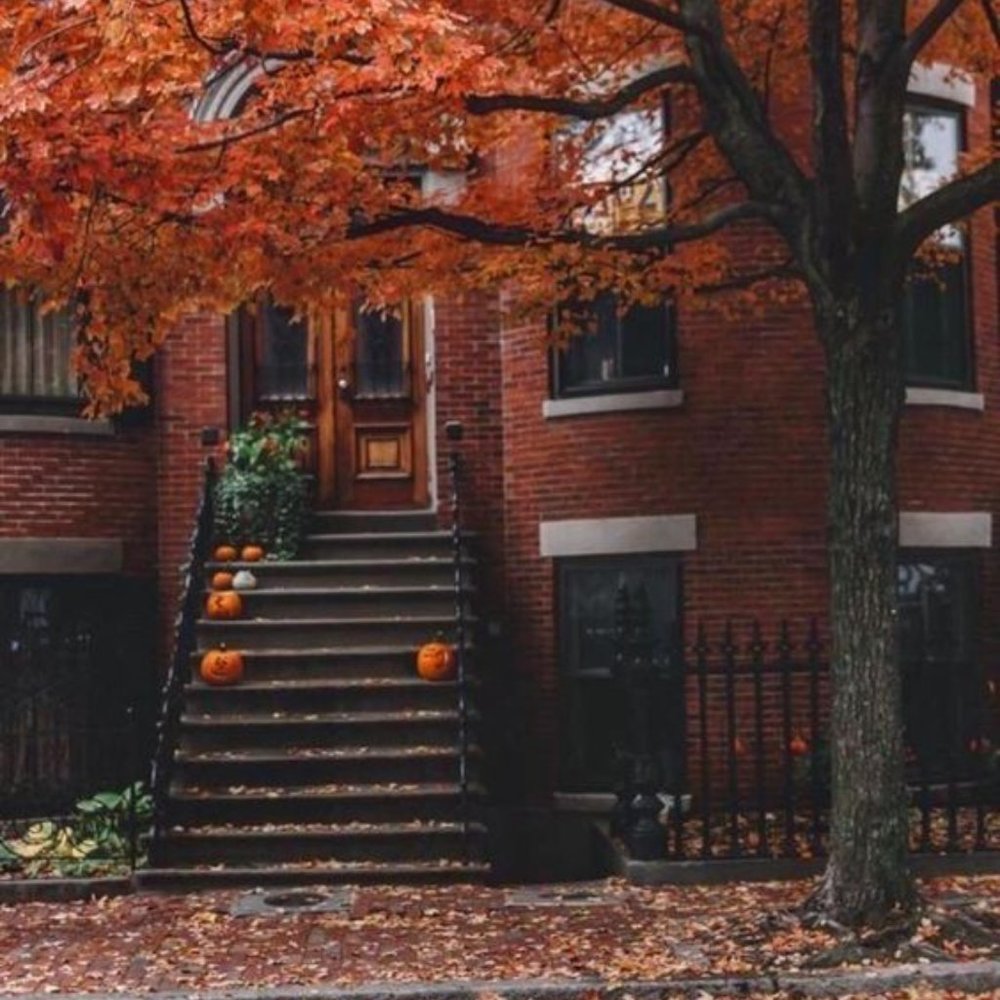 Cozy Sweaters & Fall Love